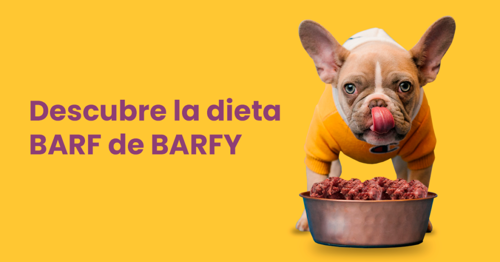 Dieta Barfy en Valencia
